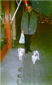 Streatham, Man + Dogs on Jan 1 1999